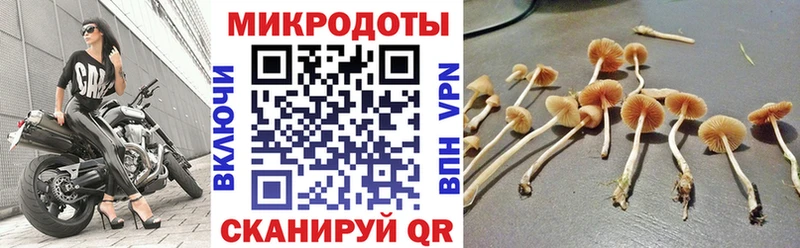 Псилоцибиновые грибы Psilocybe  Купить  Петров Вал 